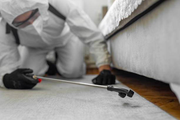 Professional Cockroach Control technician working in River Oaks, TX