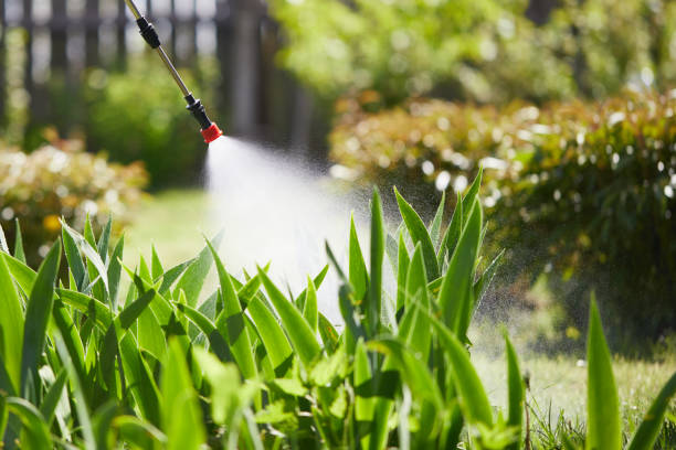 24/7 Emergency Cockroach Control experts in River Oaks, TX
