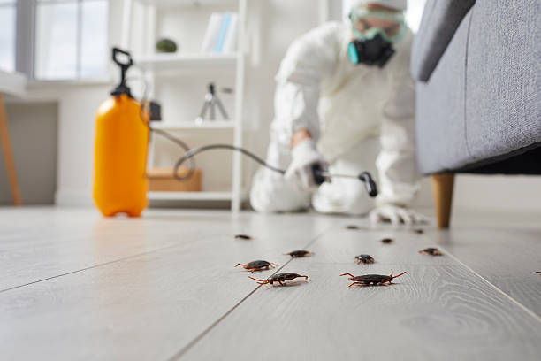 Affordable Cockroach Control solutions in River Oaks, TX